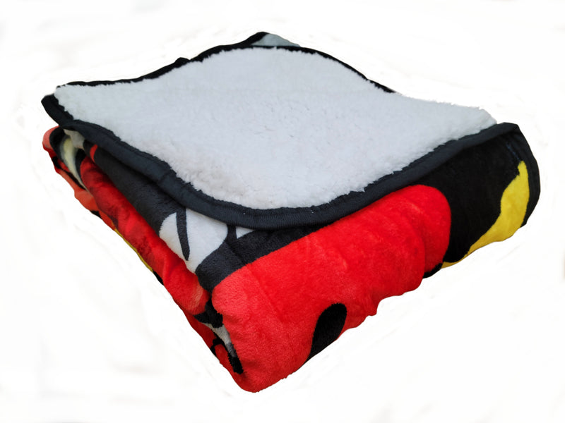 Kids and Toddler Throw Blanket Disney Cars Lightning McQueen. Super Soft and Cozy. 60x80 inches